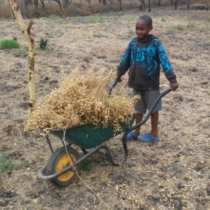 gardening farming