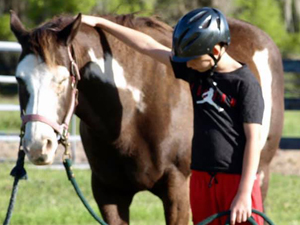 HOFYR Boy w Horse