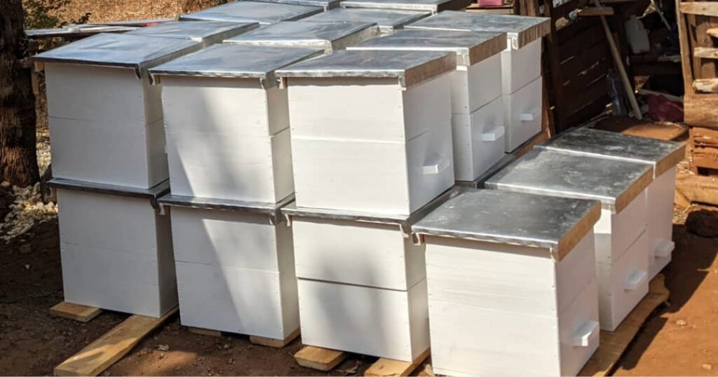 In Arusha Tanzania, the buzz of progress is growing louder. The Matonyok Children’s Home has launched a sustainable beekeeping project that will helpt to transform lives — economically, environmentally, and educationally.